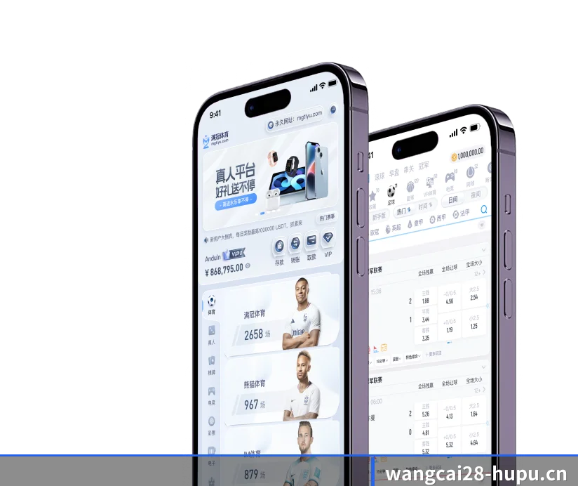 国际化进程(wangcai28)